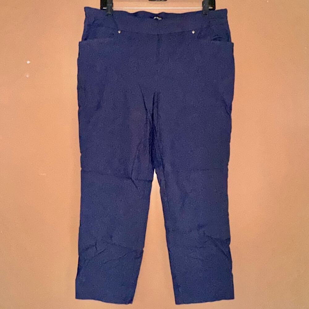 Hilary Radley Blue Leggings